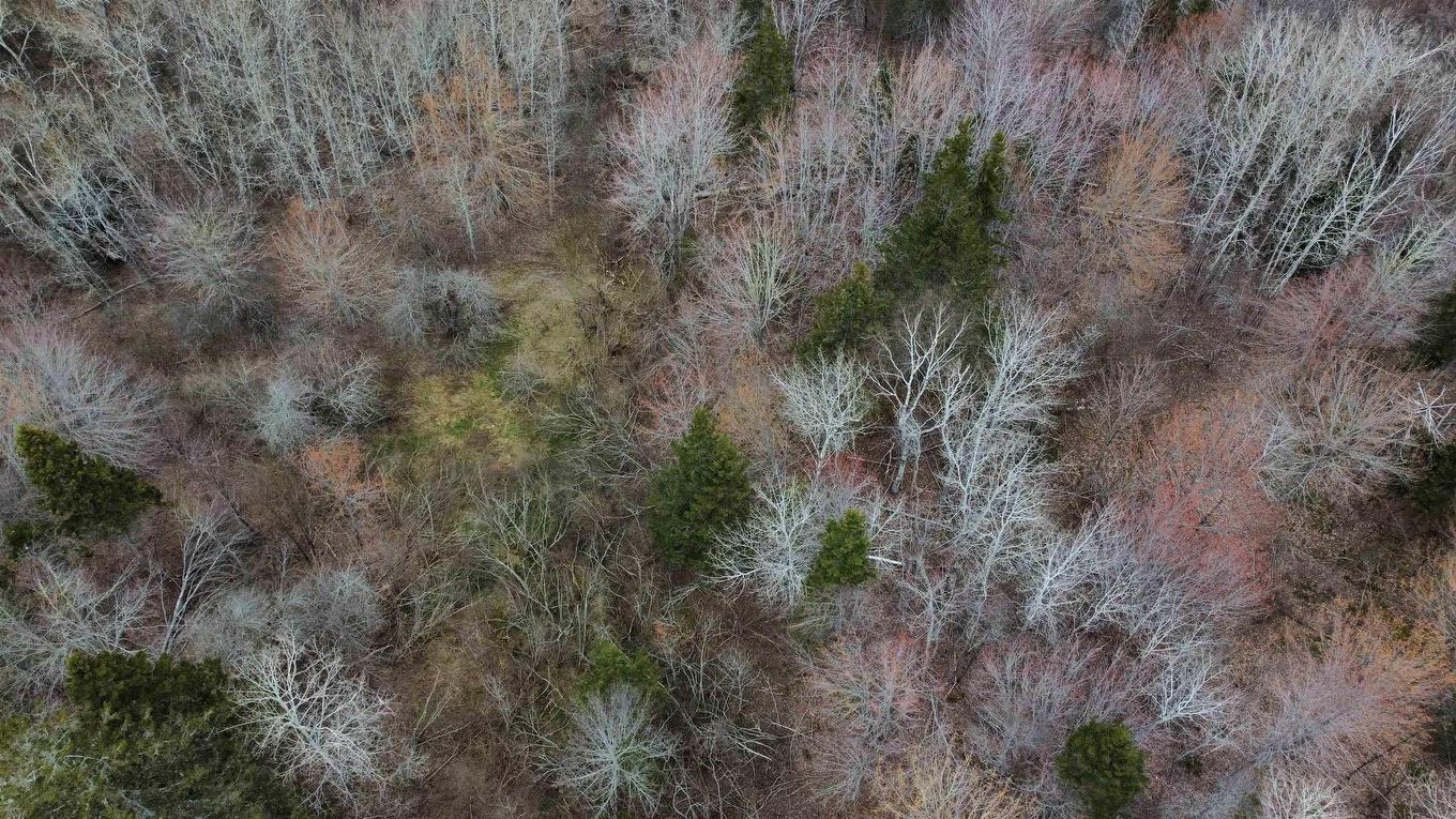 Lot 52 Marble Mountain Road, Malagawatch, NS