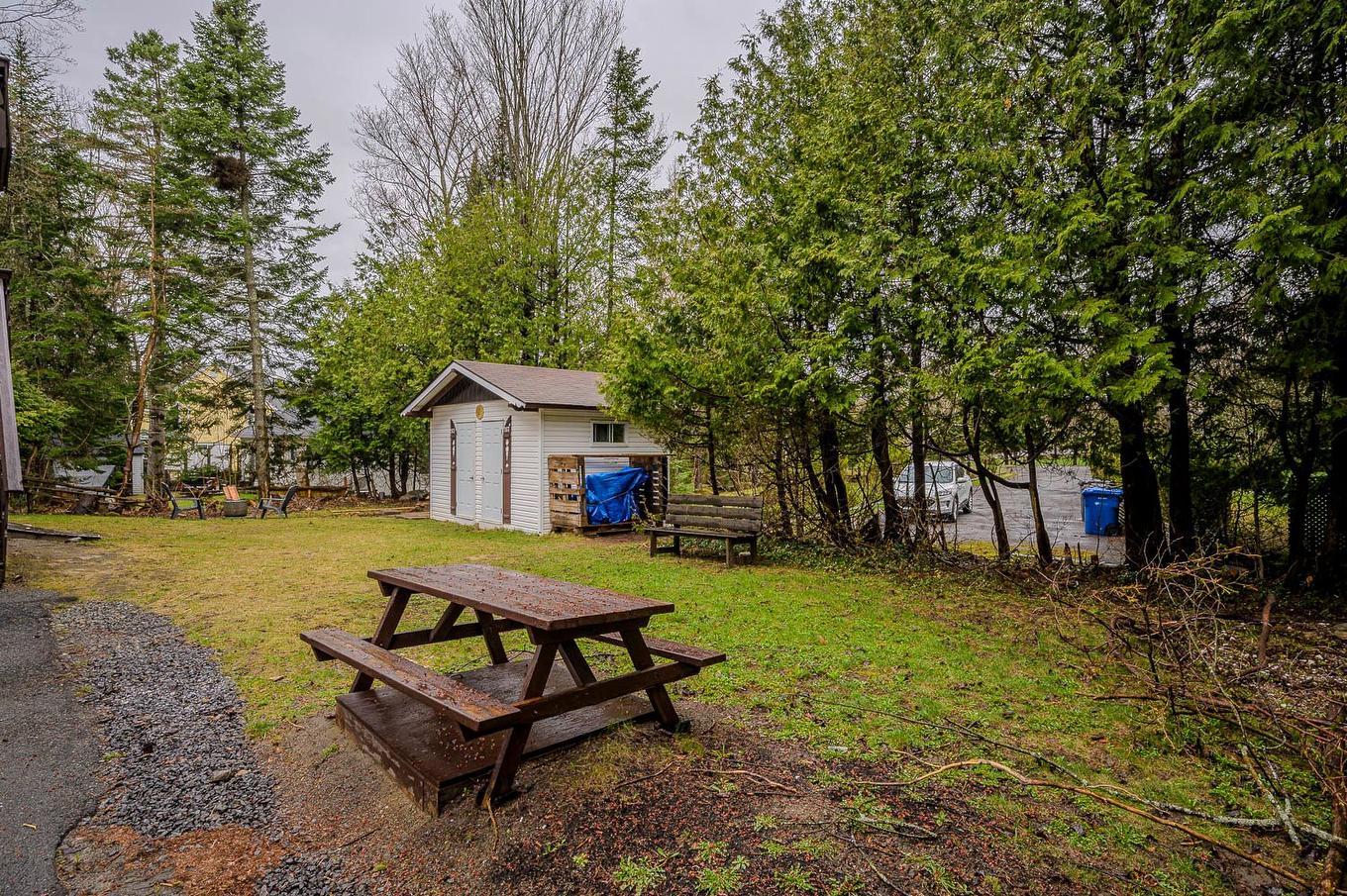 Exterior - 267 Ch. Des Bois-Blancs, Piedmont, QC - Outdoor