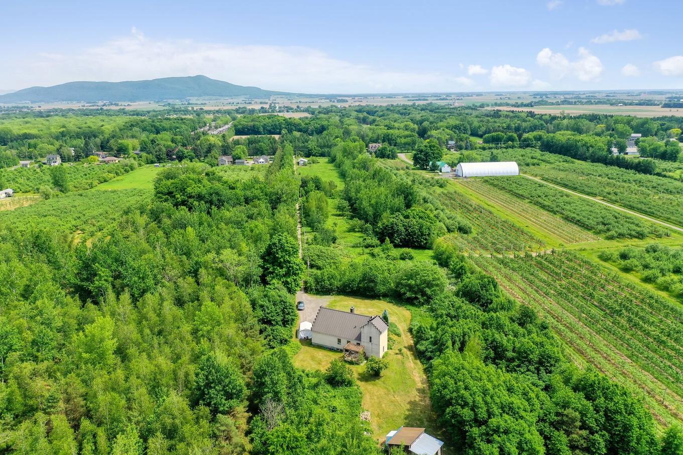 Aerial photo - 81 Rg Des Étangs, Mont-Saint-Hilaire, QC - Outdoor With View