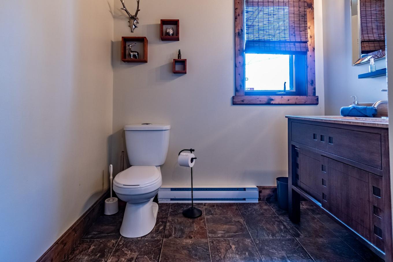 Powder room - 2 Ch. Du Boisé, Mandeville, QC - Indoor Photo Showing Bathroom