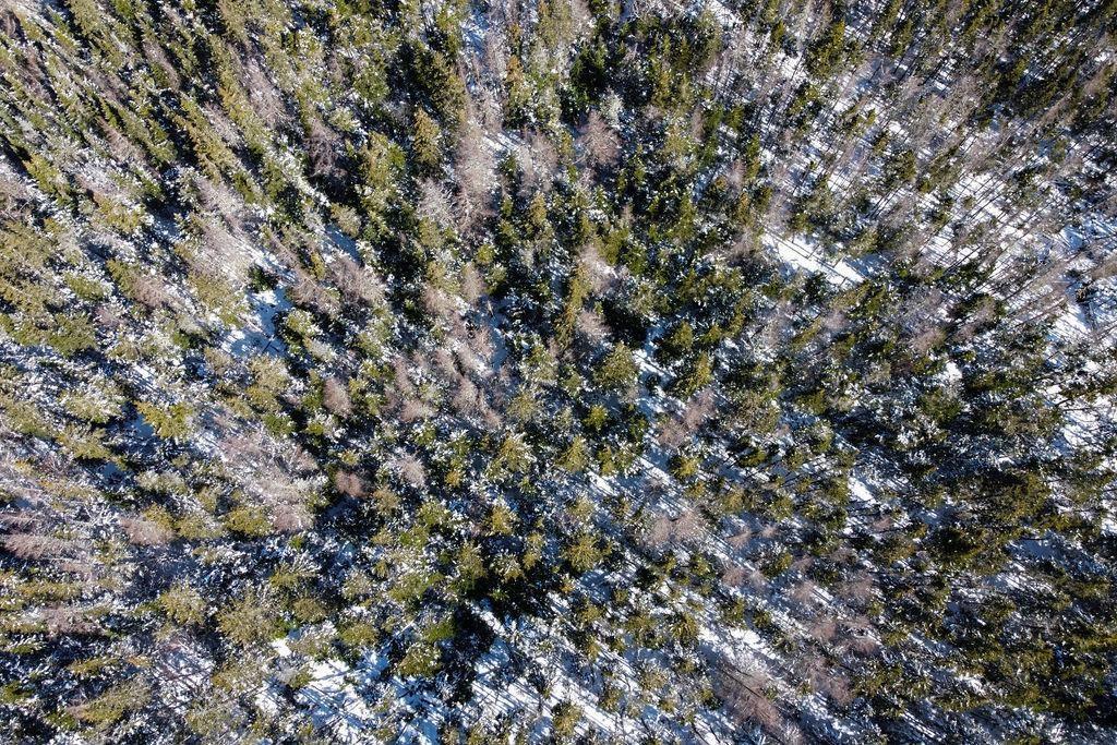 ... Convent Street, Port Hood, NS