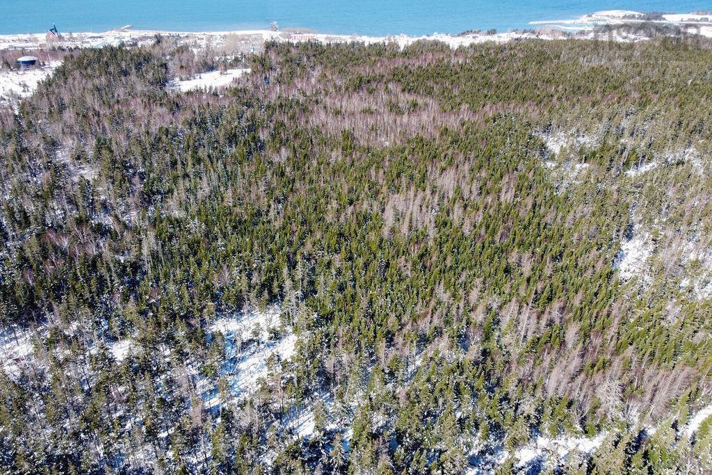 ... Convent Street, Port Hood, NS