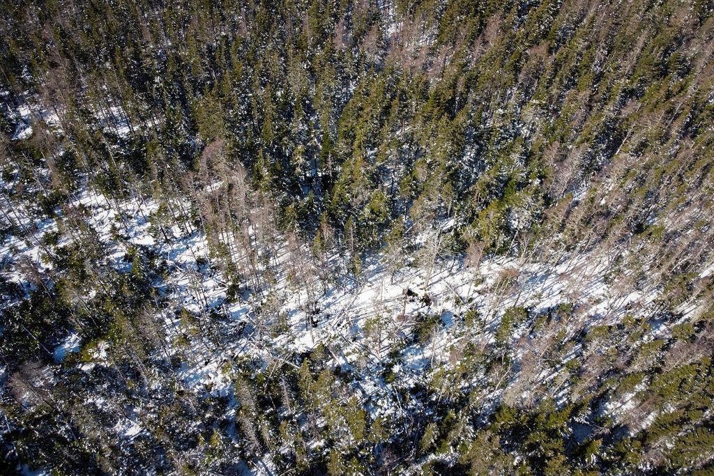 ... Convent Street, Port Hood, NS