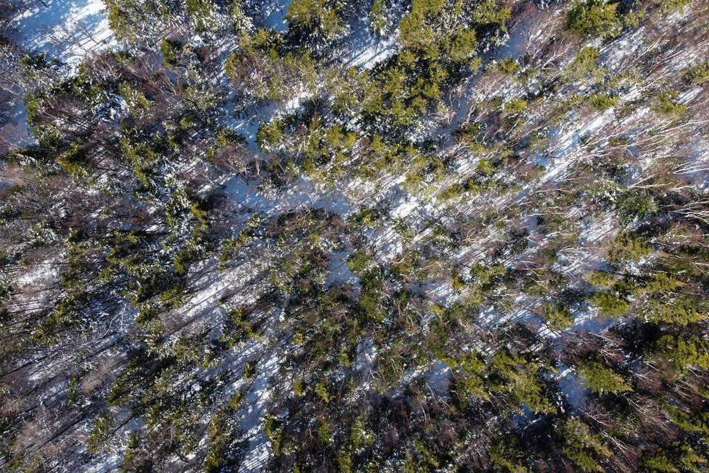 ... Convent Street, Port Hood, NS