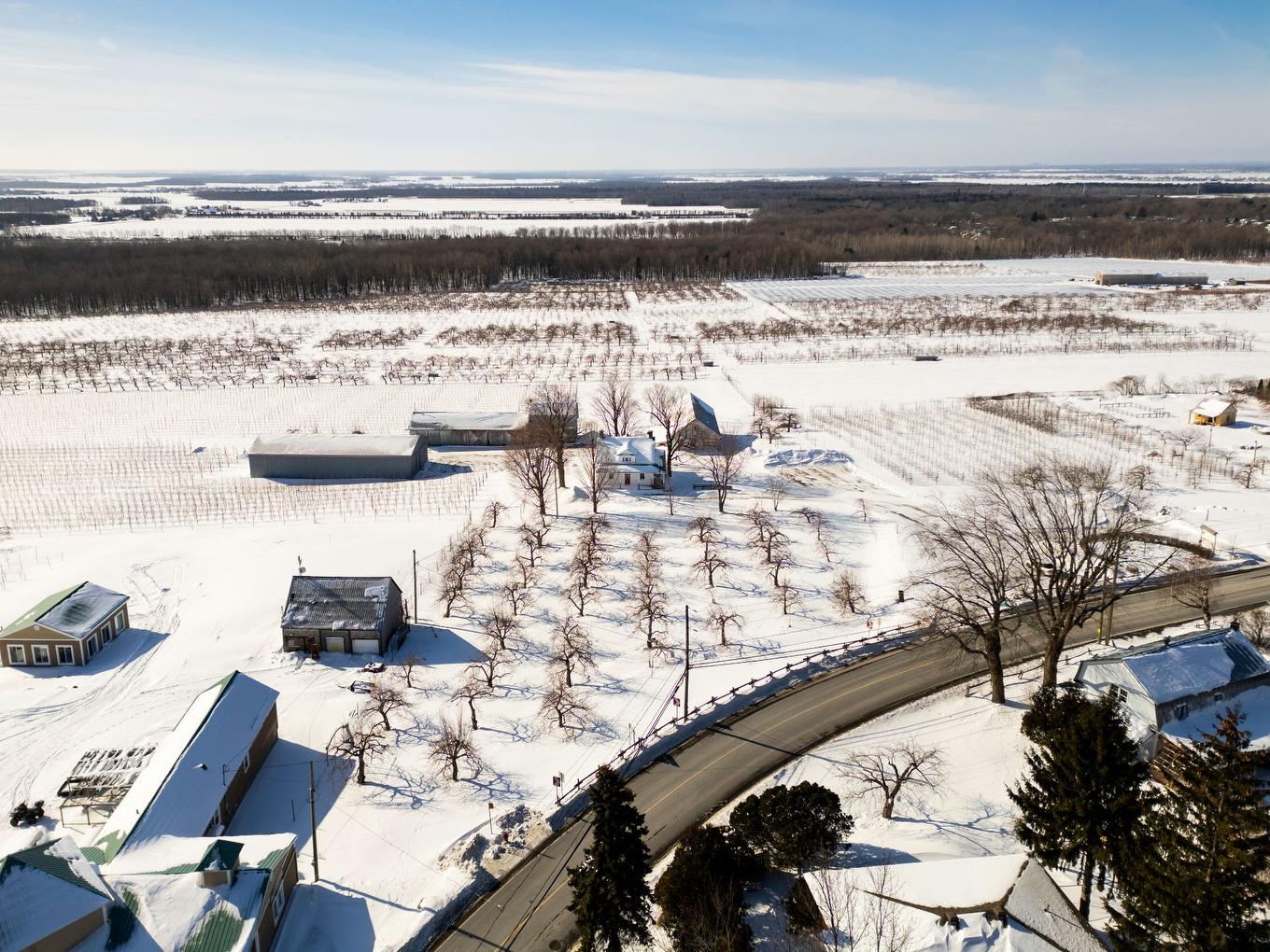 Vue d'ensemble - 1066 Ch. De La Montagne, Mont-Saint-Hilaire, QC - Outdoor With View