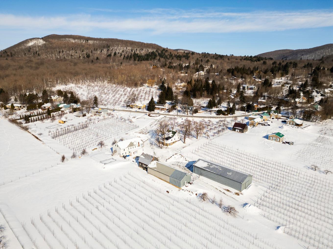 Vue d'ensemble - 1066 Ch. De La Montagne, Mont-Saint-Hilaire, QC - Outdoor With View