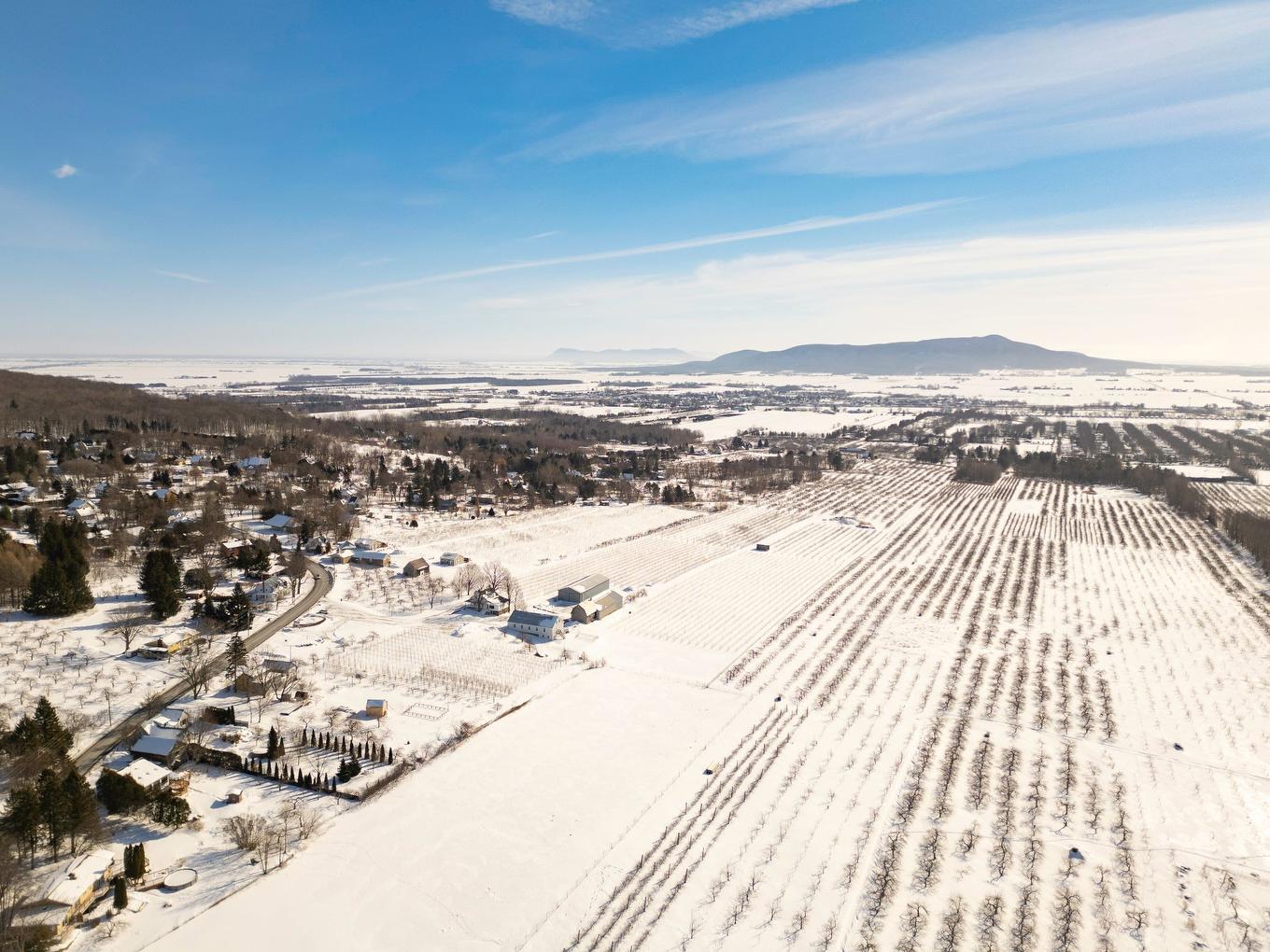 Vue d'ensemble - 1066 Ch. De La Montagne, Mont-Saint-Hilaire, QC - Outdoor With View