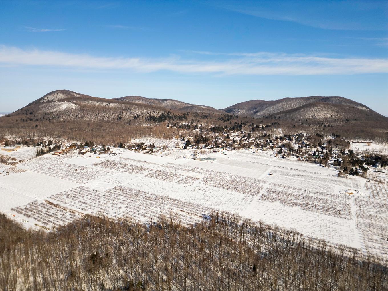 Vue d'ensemble - 1066 Ch. De La Montagne, Mont-Saint-Hilaire, QC - Outdoor With View