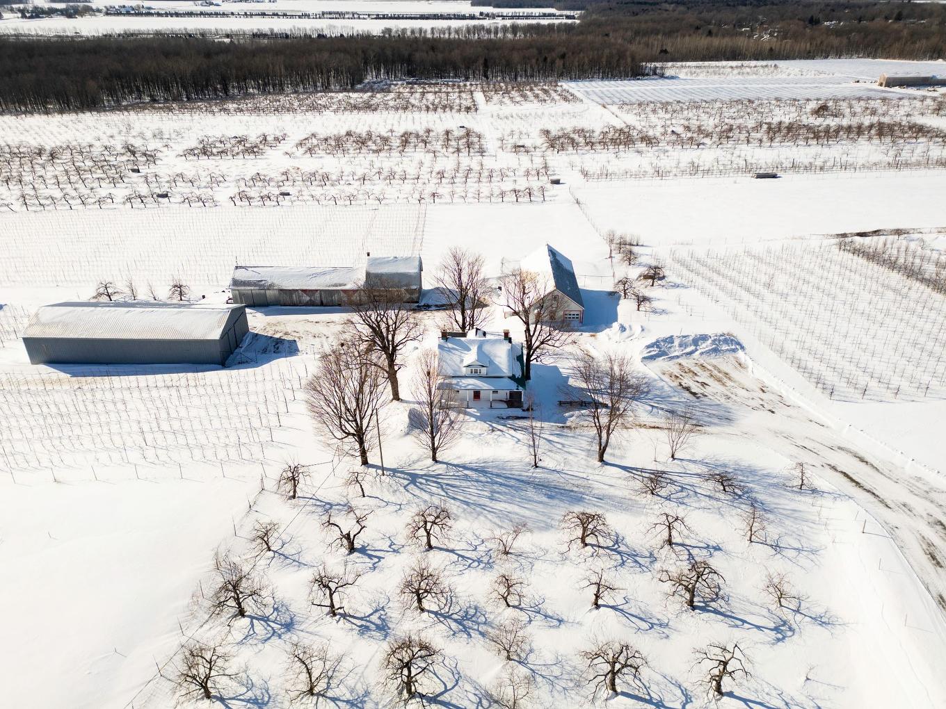 Vue d'ensemble - 1066 Ch. De La Montagne, Mont-Saint-Hilaire, QC - Outdoor With View