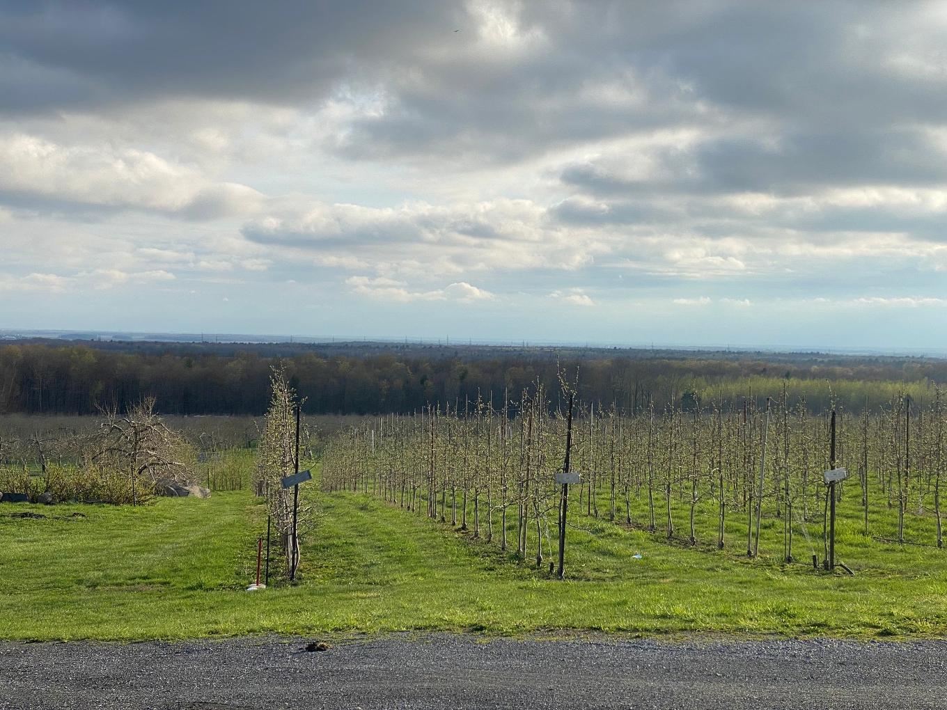 Vue - 1066 Ch. De La Montagne, Mont-Saint-Hilaire, QC - Outdoor With View