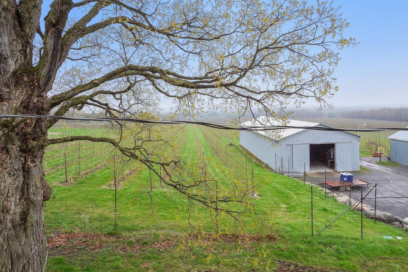 Vue d'ensemble - 1066 Ch. De La Montagne, Mont-Saint-Hilaire, QC - Outdoor With View