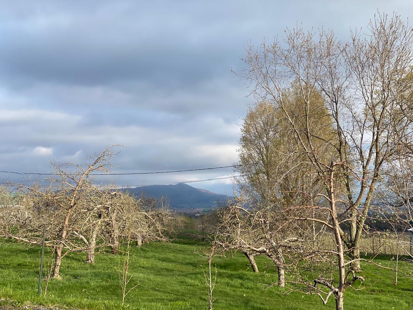 Vue - 1066 Ch. De La Montagne, Mont-Saint-Hilaire, QC - Outdoor With View