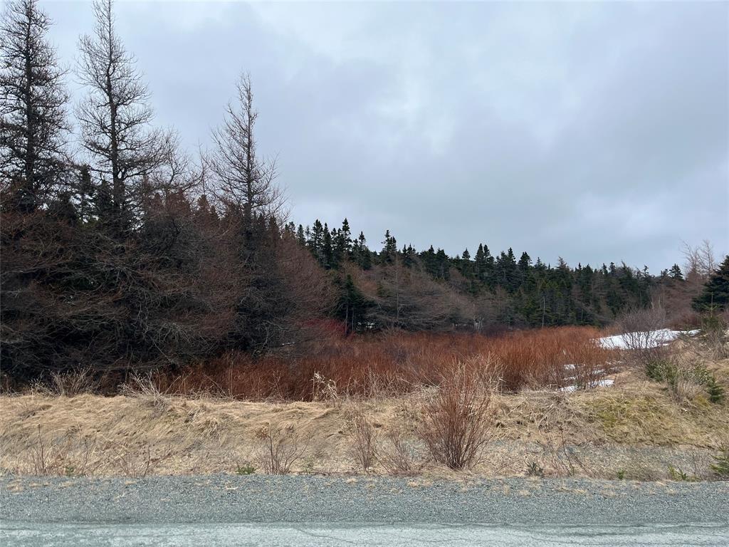 Lot 6 Jenny'S Way, Logy Bay-Middle Cove-Outer Cove, NL