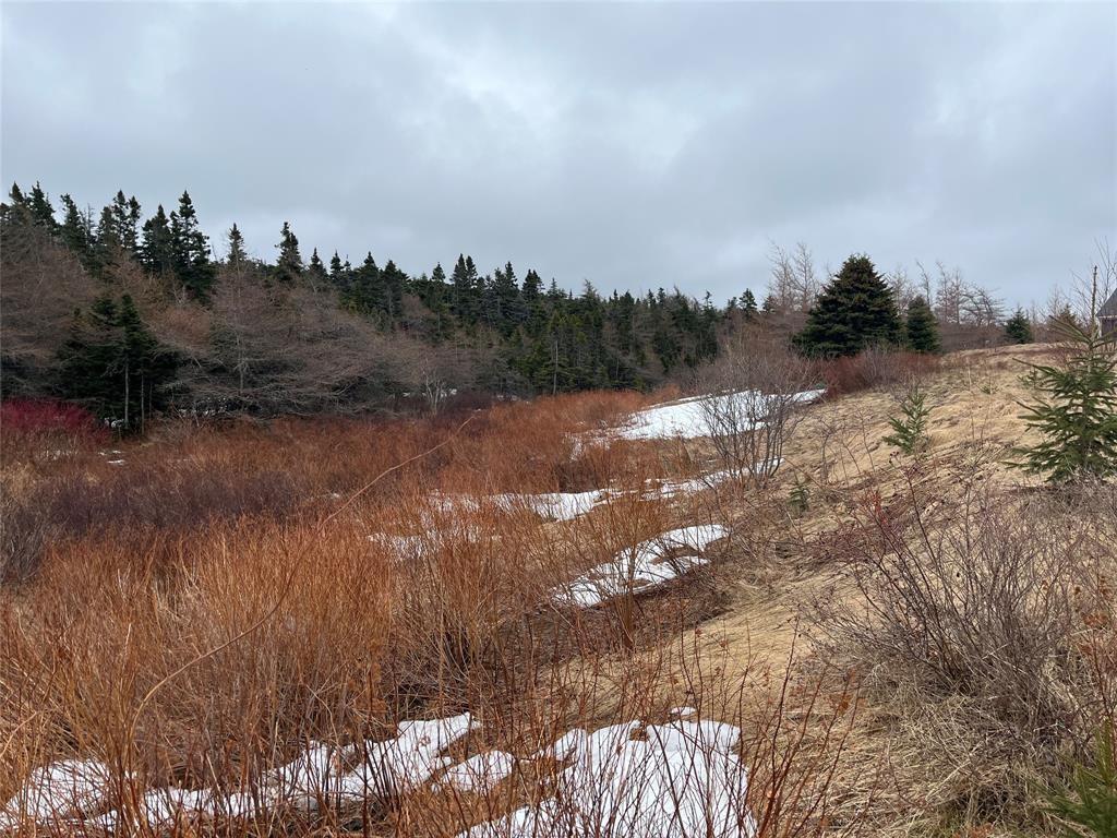 Lot 6 Jenny'S Way, Logy Bay-Middle Cove-Outer Cove, NL
