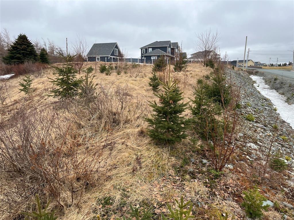Lot 6 Jenny'S Way, Logy Bay-Middle Cove-Outer Cove, NL