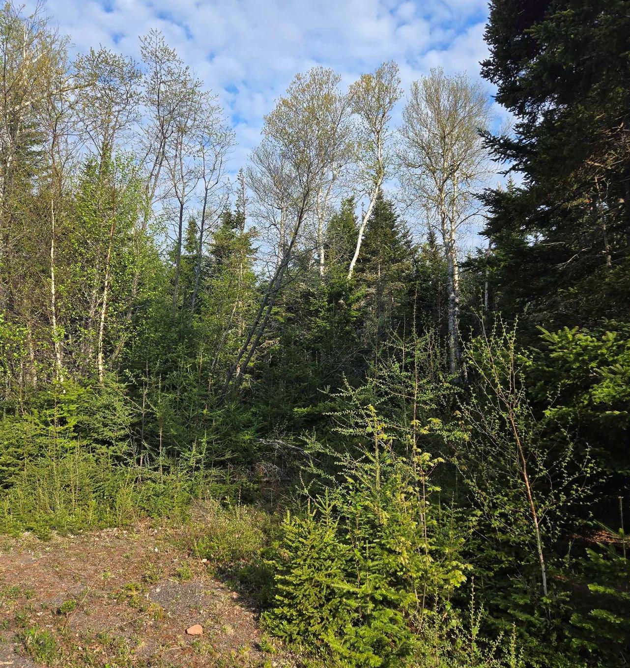 Lot 11 Riverview Drive, Fortune Bridge, PE