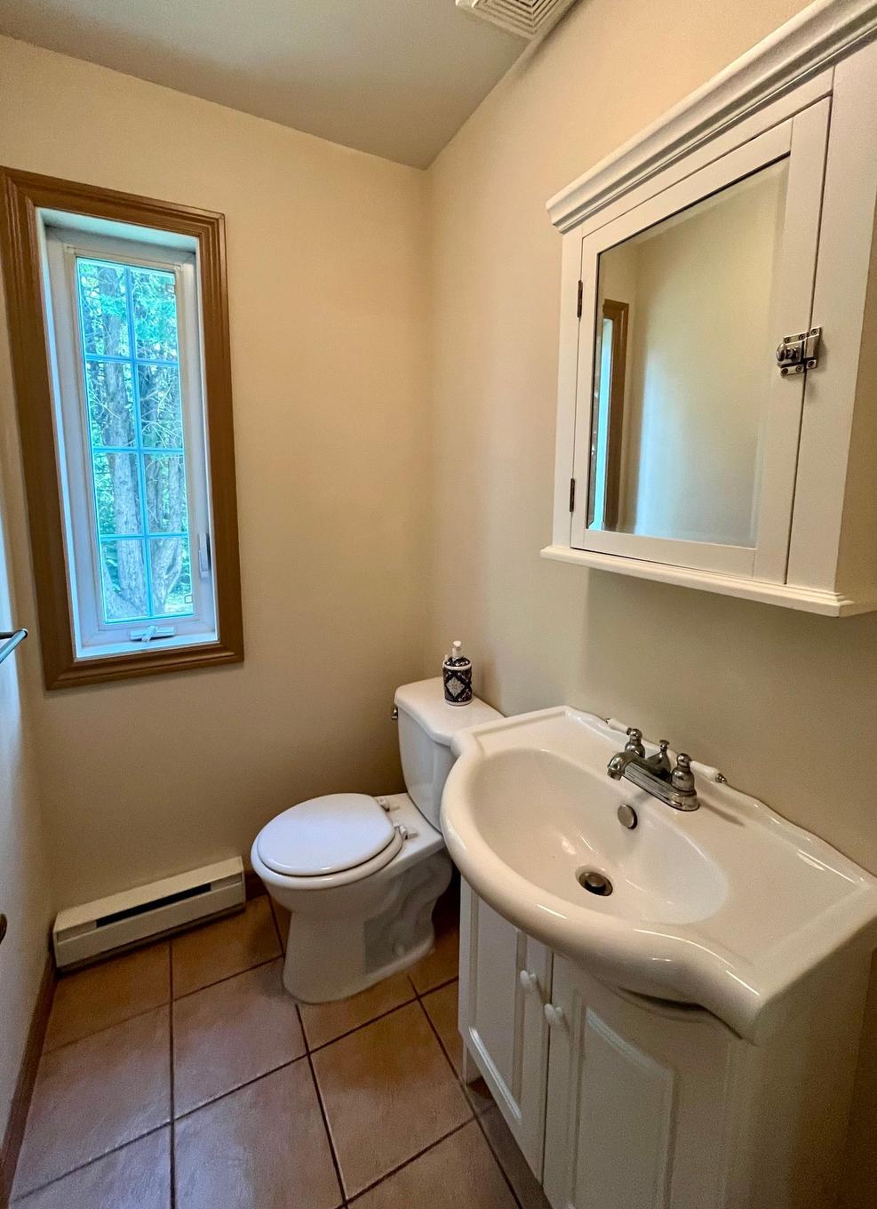 Powder room - 1 Ch. Des Amoureux, Mont-Tremblant, QC - Indoor Photo Showing Bathroom