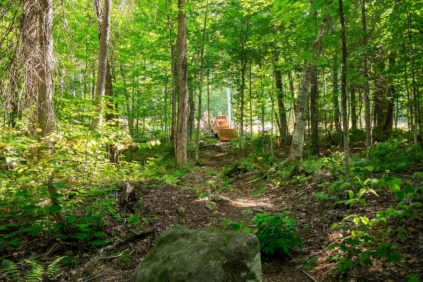 Access to a body of water - 20E Rue, Saint-Adolphe-D'Howard, QC - Outdoor