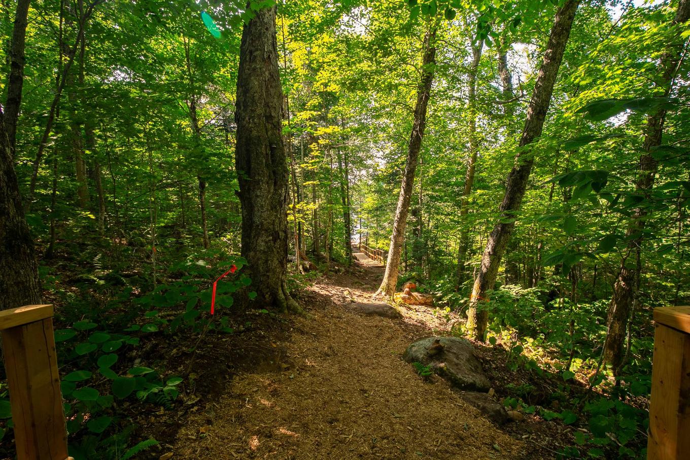 Access to a body of water - 20E Rue, Saint-Adolphe-D'Howard, QC - Outdoor