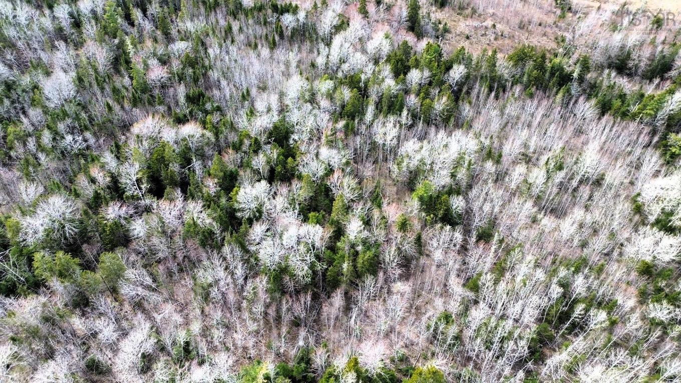 No 321 Highway, Valley Road, NS