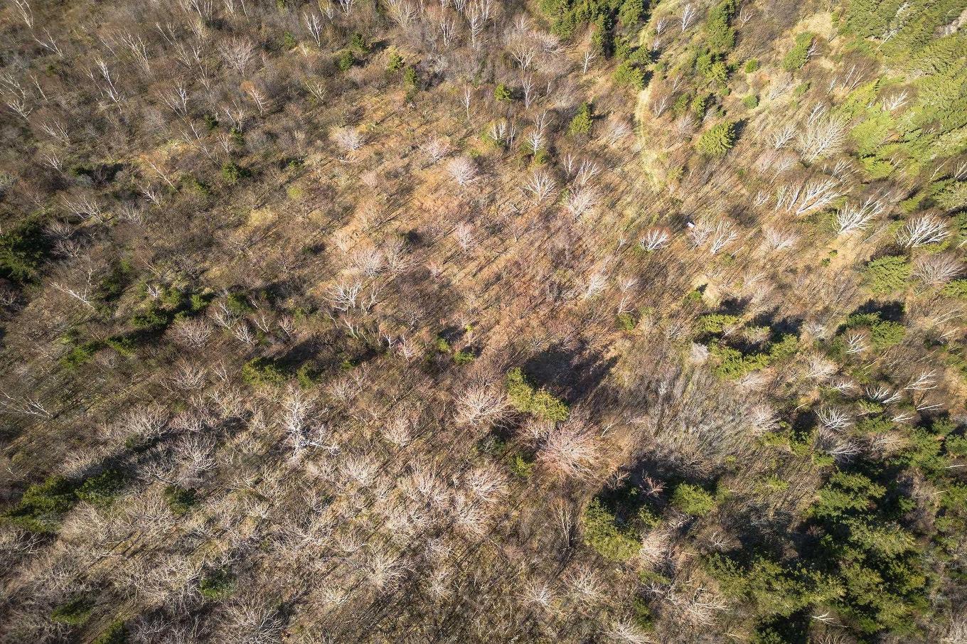 Highway 19, Creignish, NS