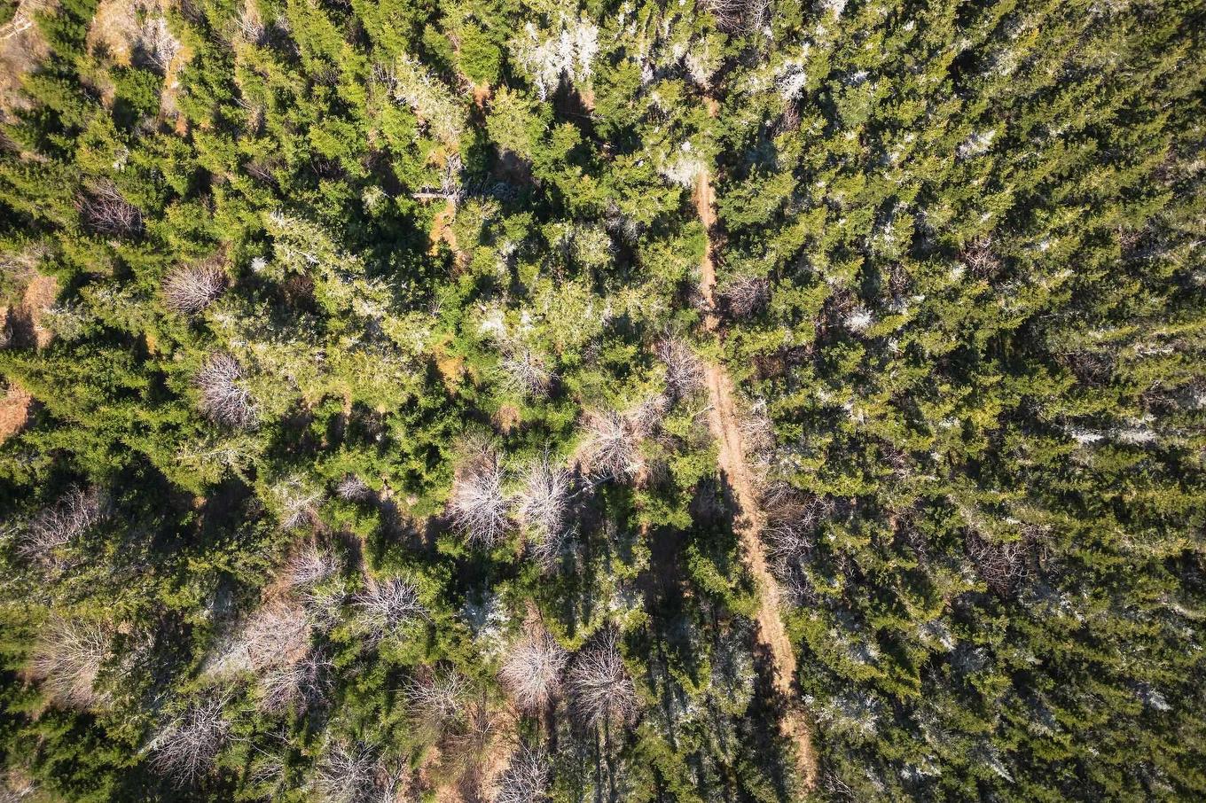 Highway 19, Creignish, NS