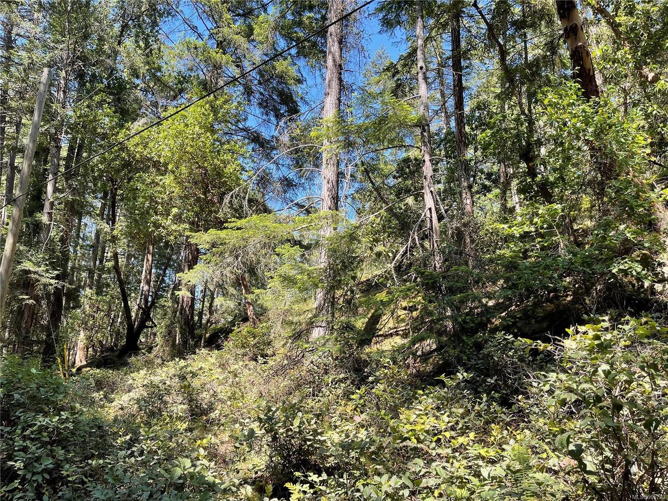 Lot 2 Driftwood Dr, Mudge Island, BC