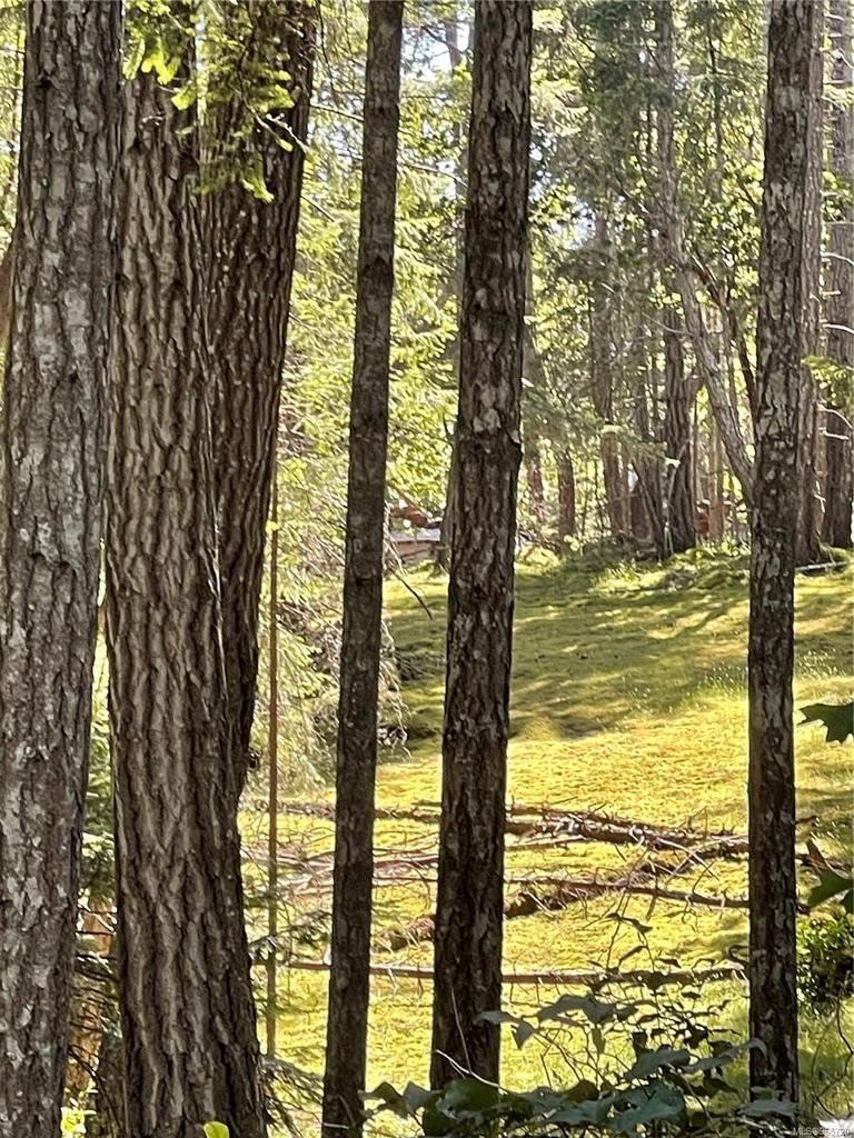 Lot 2 Driftwood Dr, Mudge Island, BC