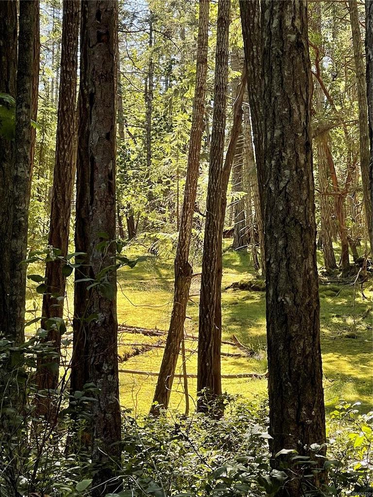 Lot 2 Driftwood Dr, Mudge Island, BC