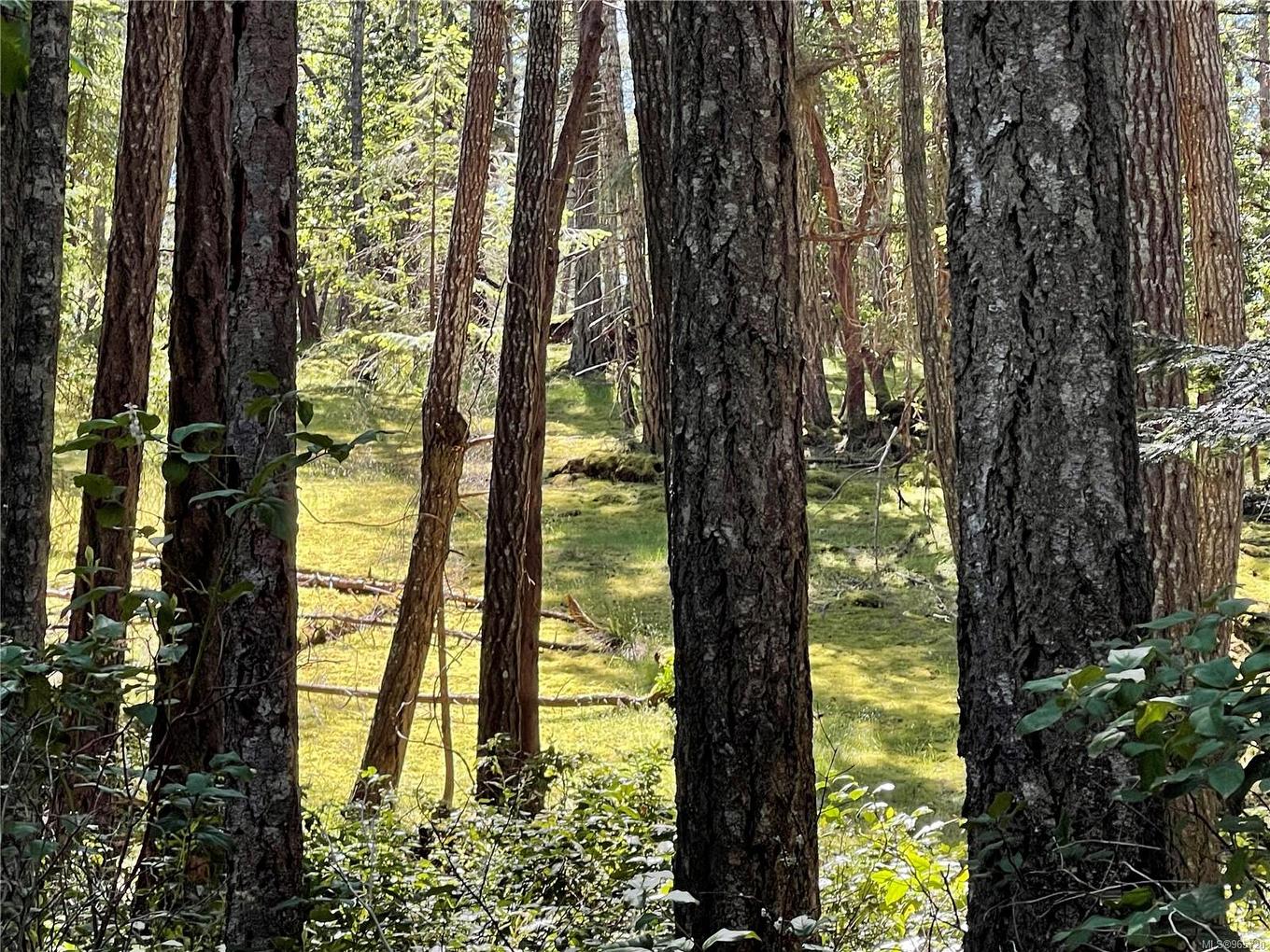 Lot 2 Driftwood Dr, Mudge Island, BC