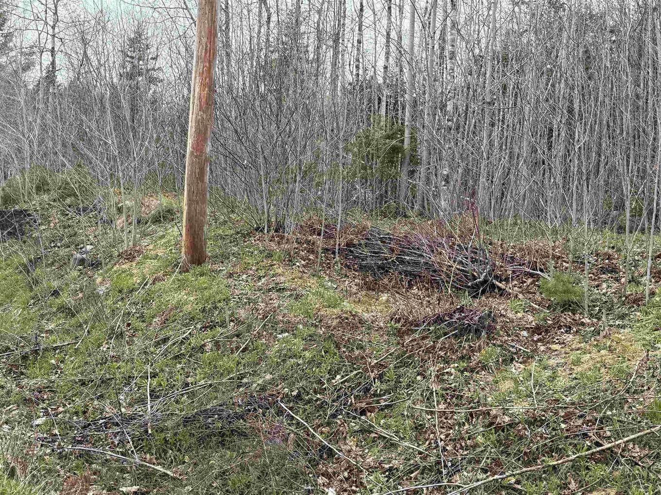 Lot 5 Highway 10, New Germany, NS