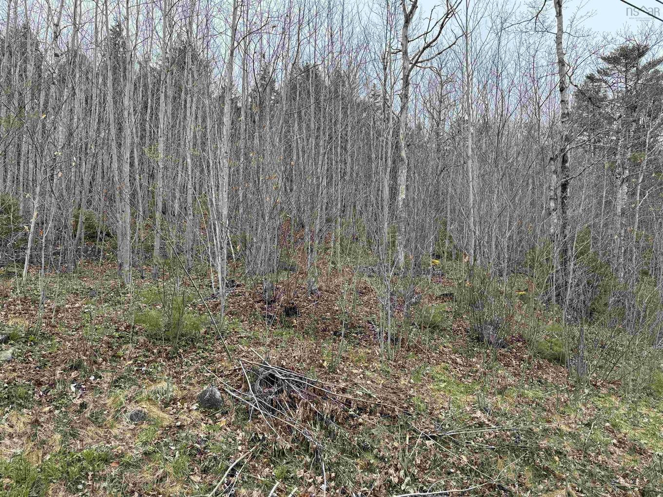 Lot 5 Highway 10, New Germany, NS