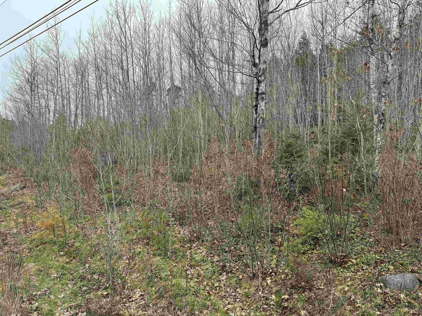 Lot 5 Highway 10, New Germany, NS