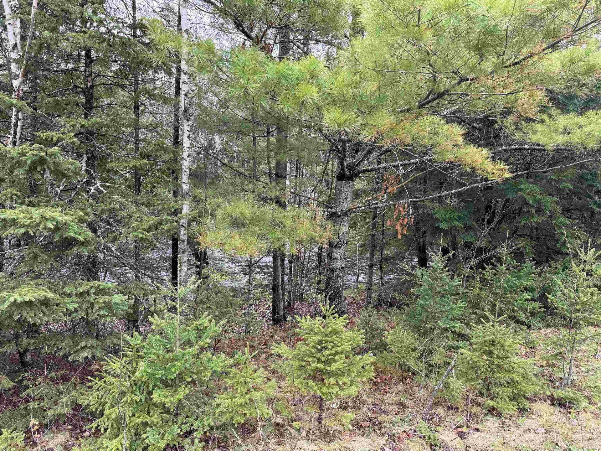 Lot 5 Highway 10, New Germany, NS