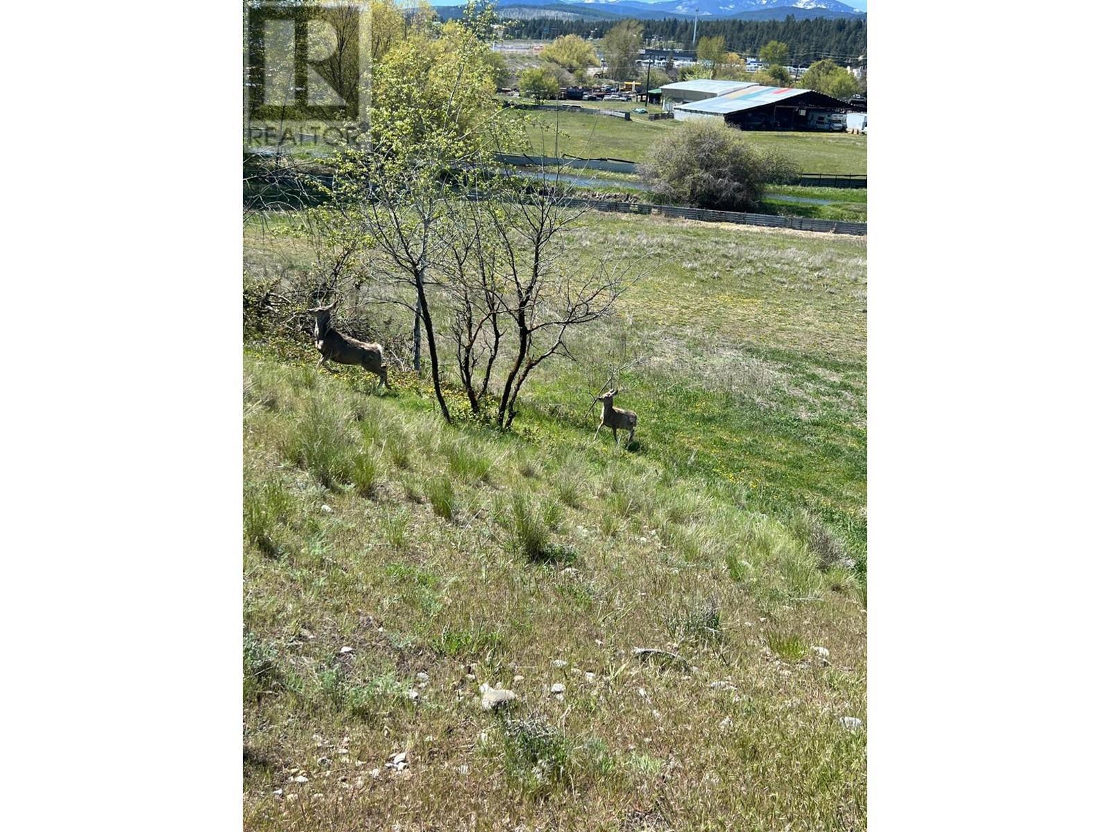 2400 22Nd N Street, Cranbrook, BC