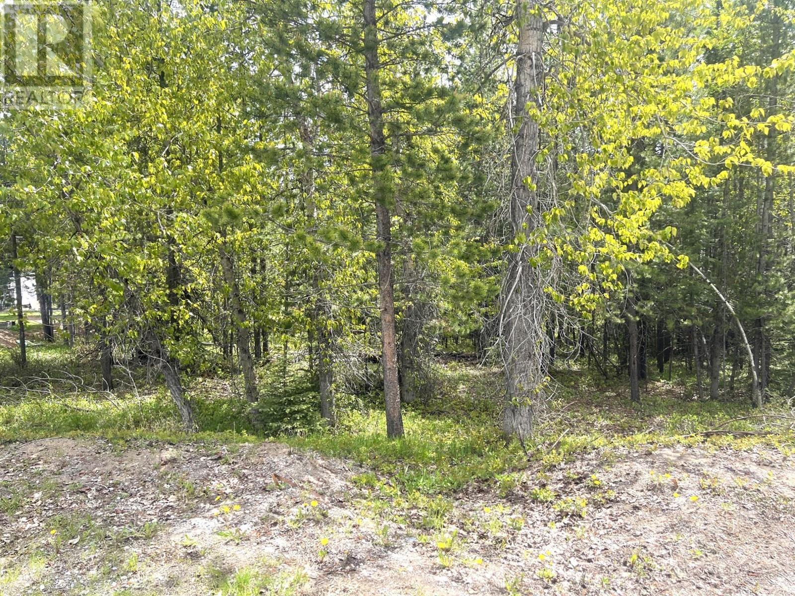 44 Darby Crescent, Elkford, BC