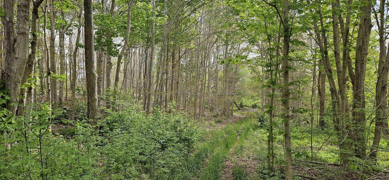 Riverside Road, New Edinburgh, NS