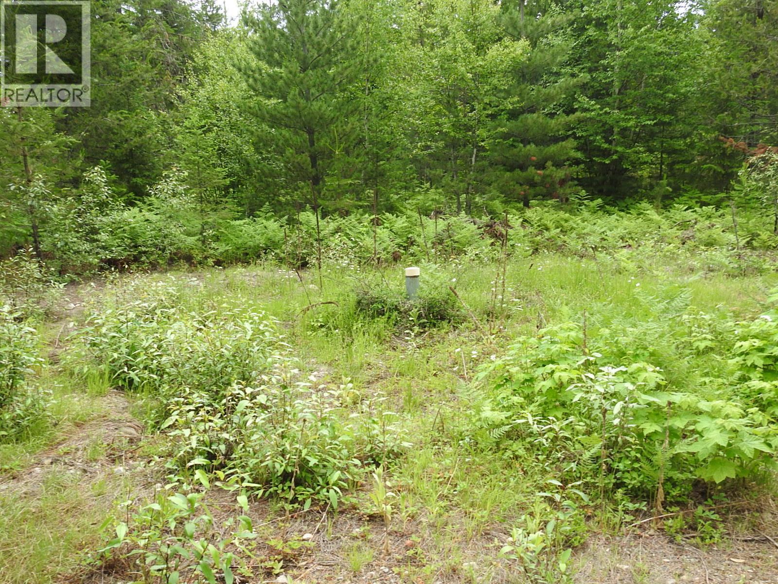 9700 6 Highway, Edgewood, BC