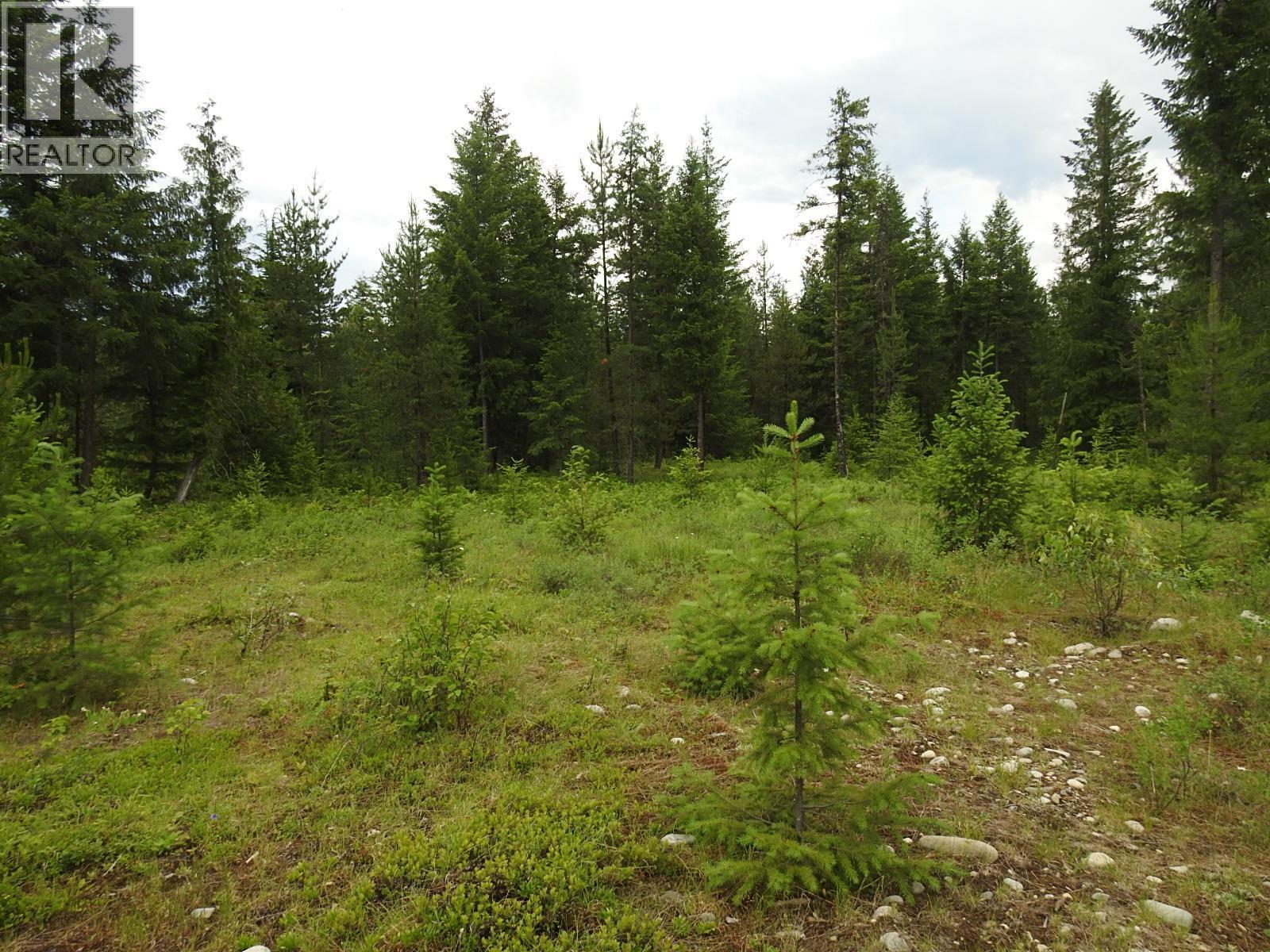 9700 6 Highway, Edgewood, BC