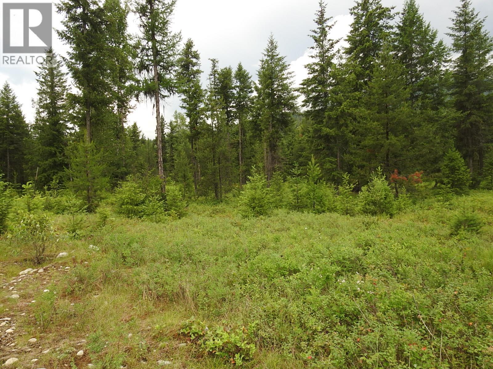 9700 6 Highway, Edgewood, BC