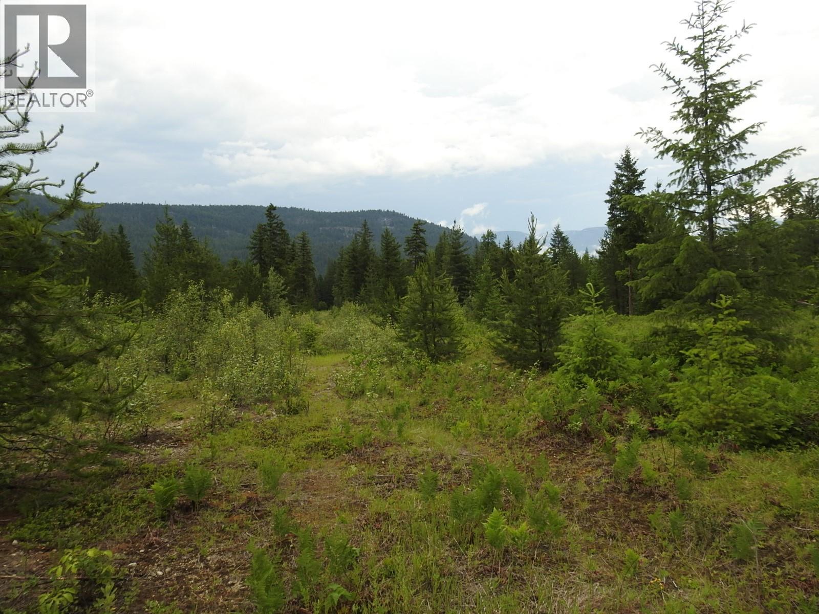 9700 6 Highway, Edgewood, BC