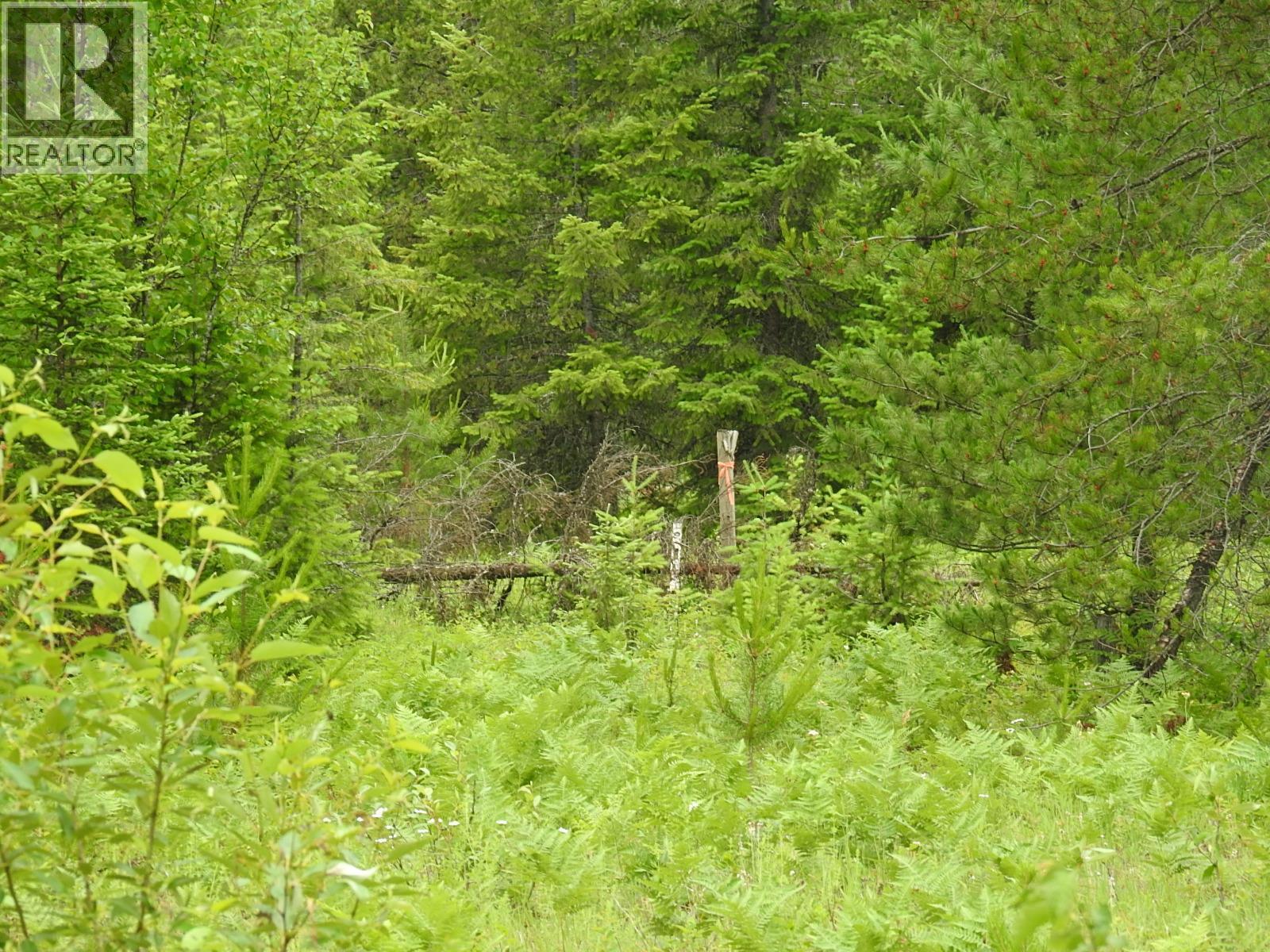 9700 6 Highway, Edgewood, BC