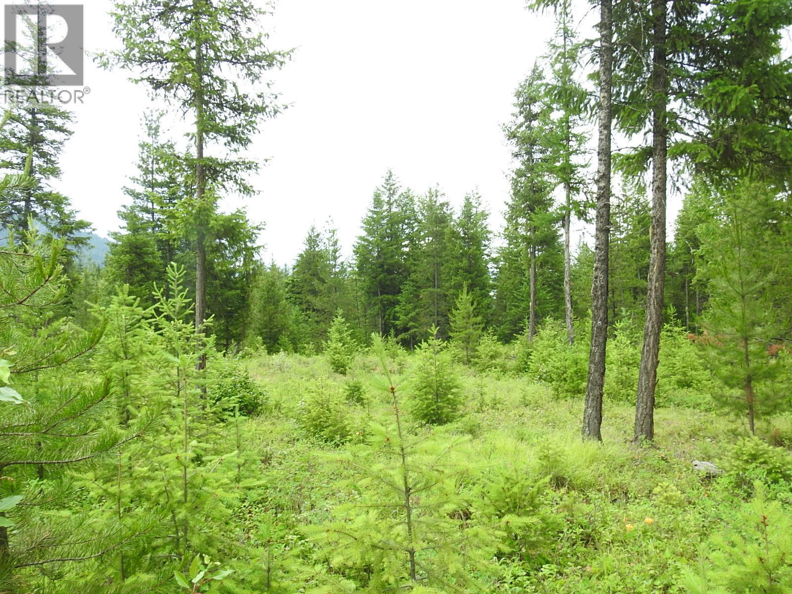 9700 6 Highway, Edgewood, BC