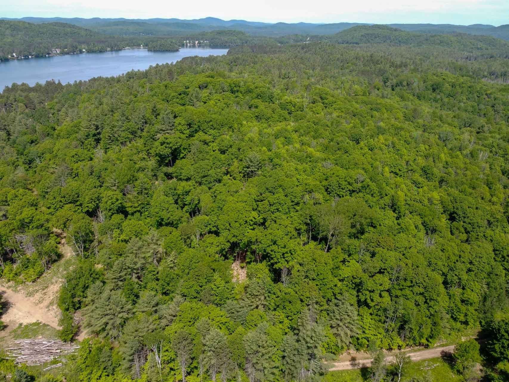 Aerial View - 13 Ch. Des Geais-Bleus, Ripon, QC