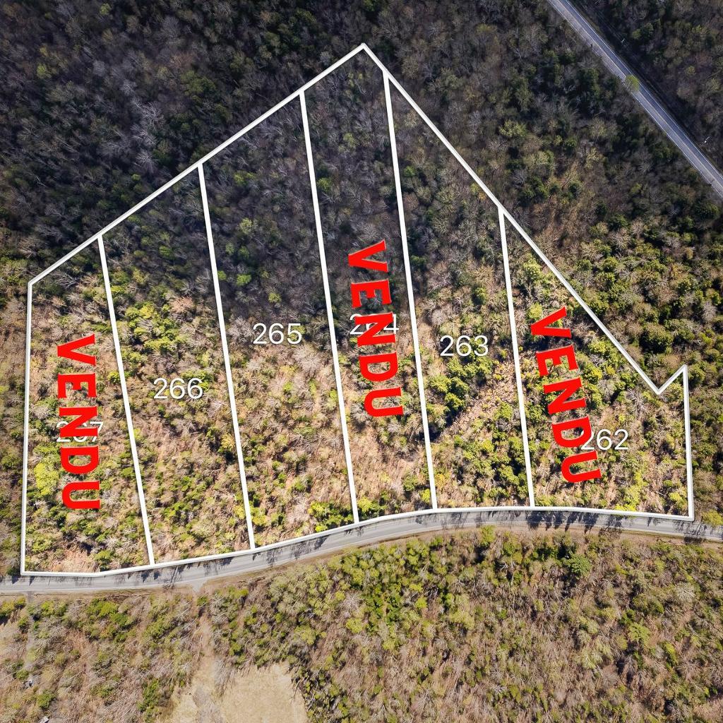 Aerial photo - 263 Ch. Laurendeau, Magog, QC