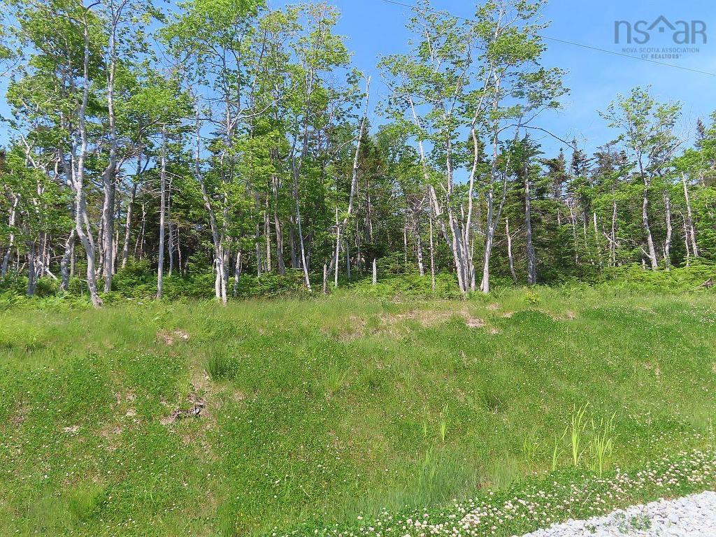 Lot 20 Perry Lane, Lennox Passage, NS