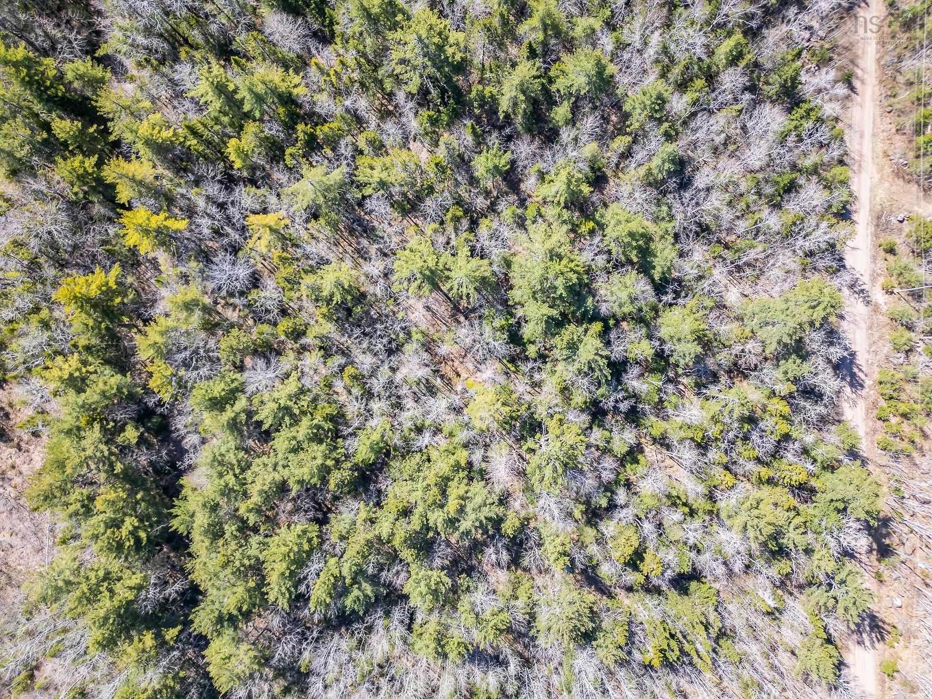 Lot 77 Waterloo Avenue, Waterloo Lake, NS