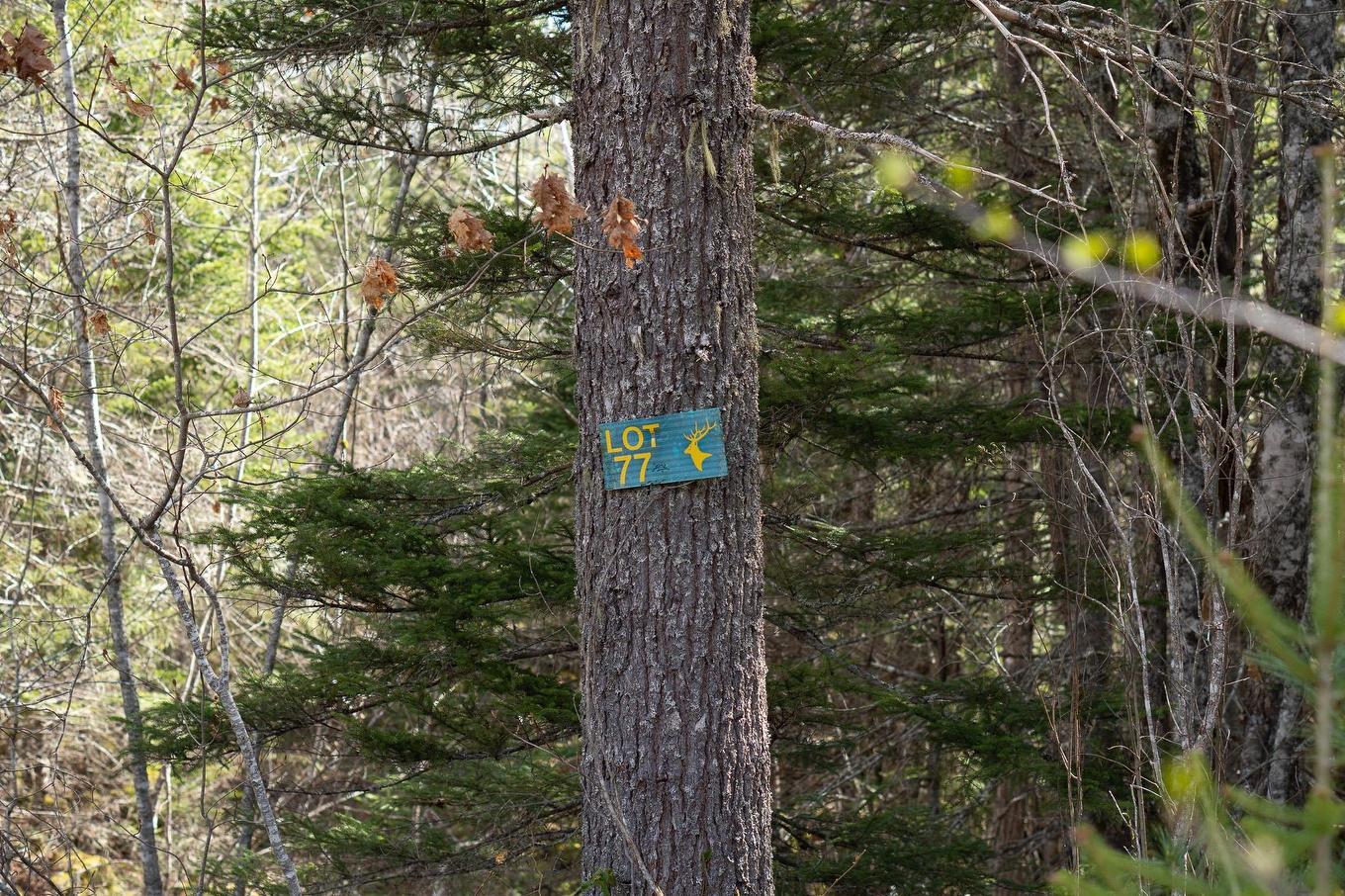 Lot 77 Waterloo Avenue, Waterloo Lake, NS