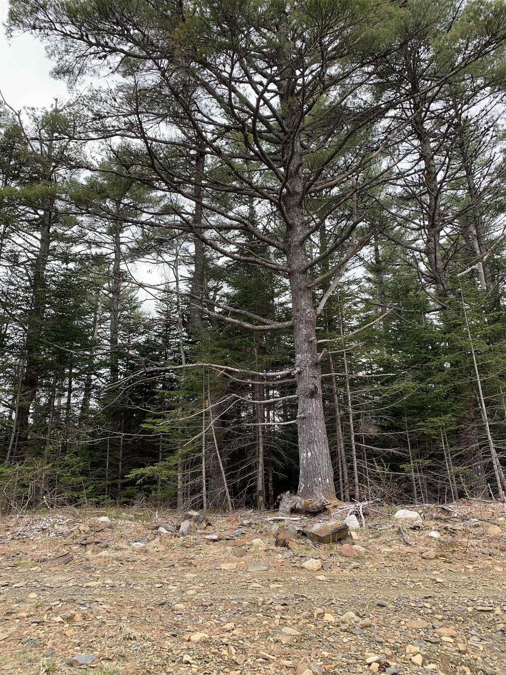 No 103 Highway, Western Shore, NS