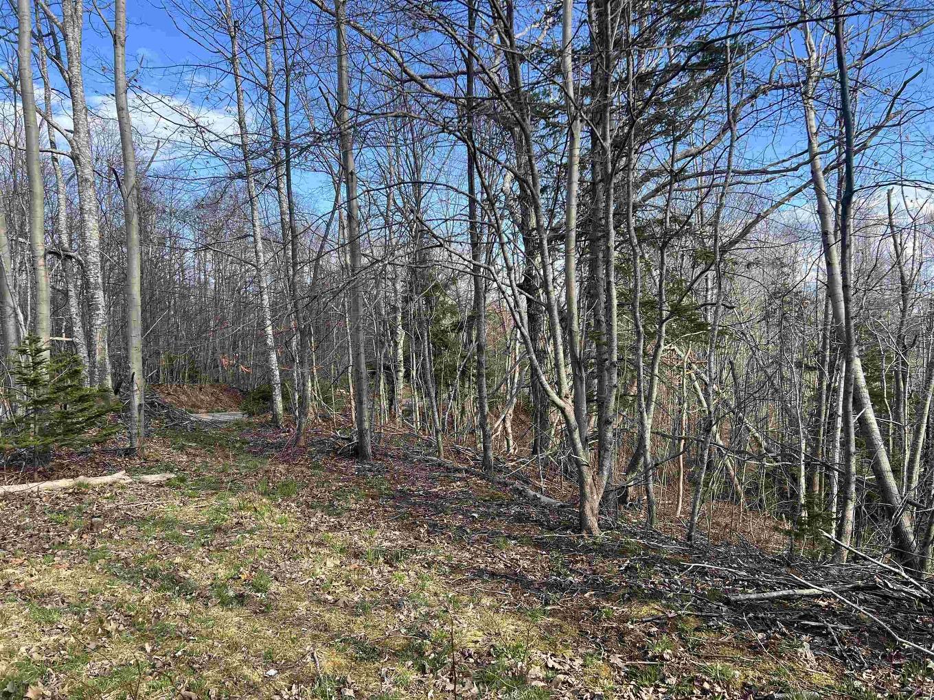 Lot 2-1-B Seaview Cemetary Road, Bay View, NS